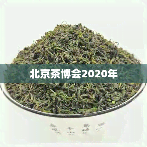 北京茶博会2020年