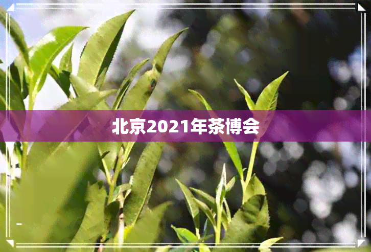 北京2021年茶博会