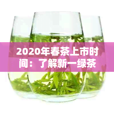 2020年春茶上市时间：了解新一绿茶的品尝节