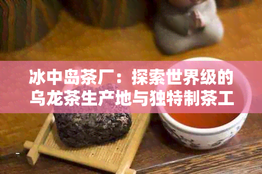 冰中岛茶厂：探索世界级的乌龙茶生产地与独特制茶工艺