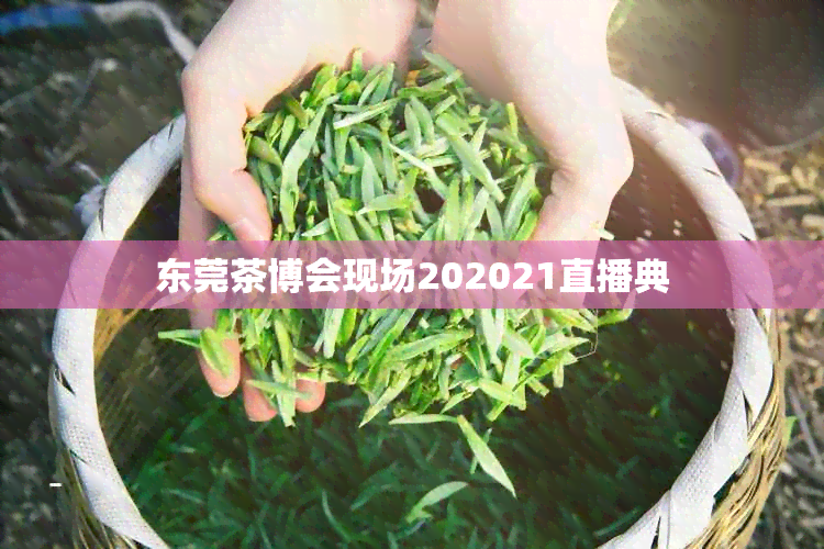 东莞茶博会现场202021直播典