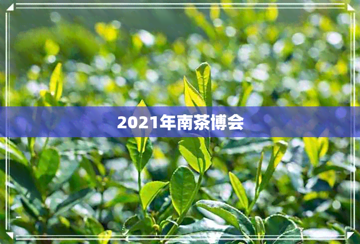 2021年南茶博会