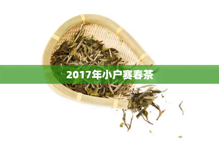 2017年小户赛春茶