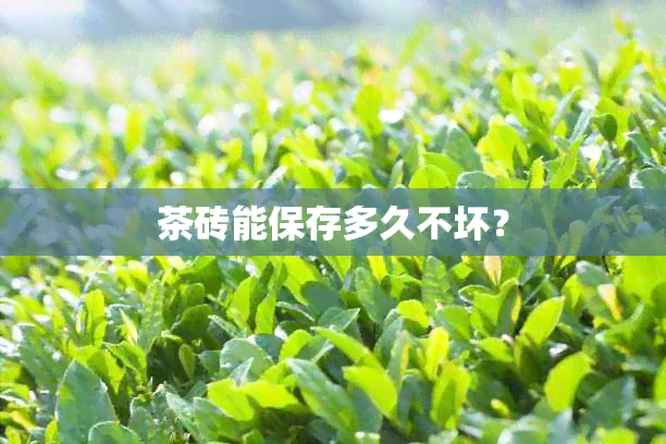 茶砖能保存多久不坏？