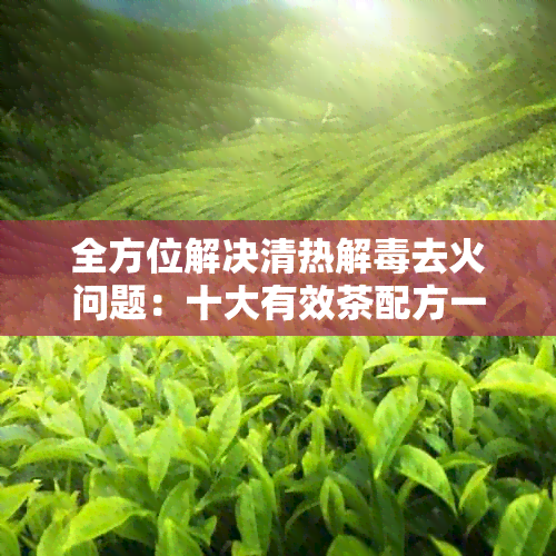 全方位解决清热解去火问题：十大有效茶配方一览