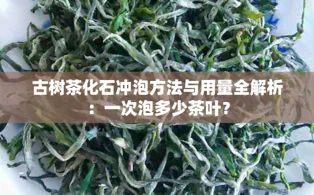 古树茶化石冲泡方法与用量全解析：一次泡多少茶叶？