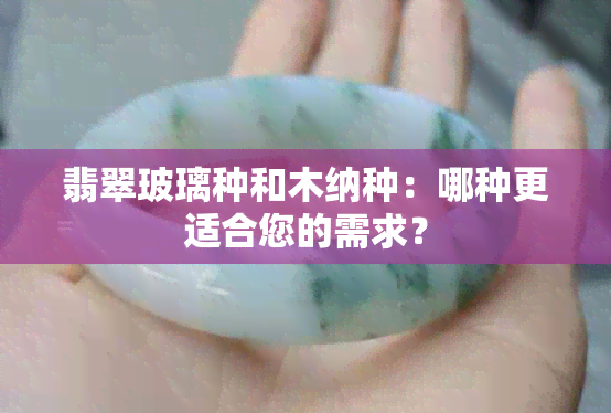 翡翠玻璃种和木纳种：哪种更适合您的需求？