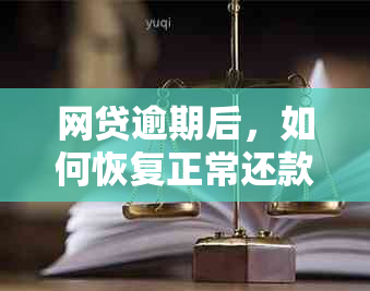 网贷逾期后，如何恢复正常还款？恢复时间及具体操作步骤详解