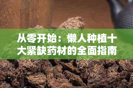 从零开始：懒人种植十大紧缺材的全面指南与创业项目解析