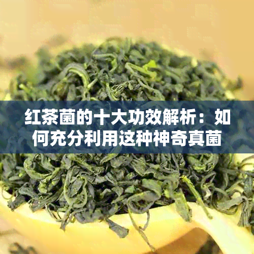 红茶菌的十大功效解析：如何充分利用这种神奇真菌改善健与生活品质