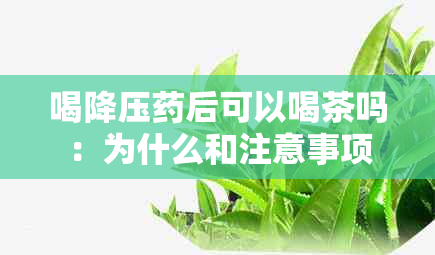 喝降压后可以喝茶吗：为什么和注意事项