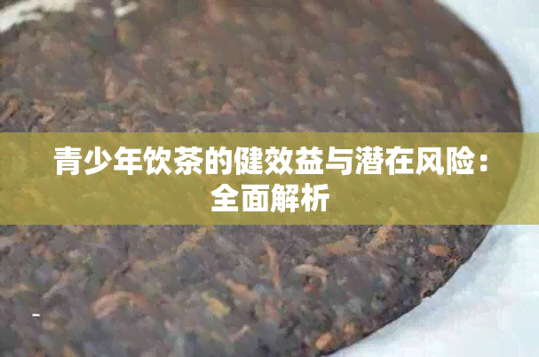 青少年饮茶的健效益与潜在风险：全面解析