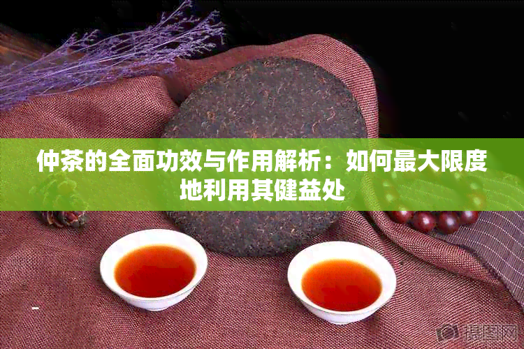 仲茶的全面功效与作用解析：如何更大限度地利用其健益处