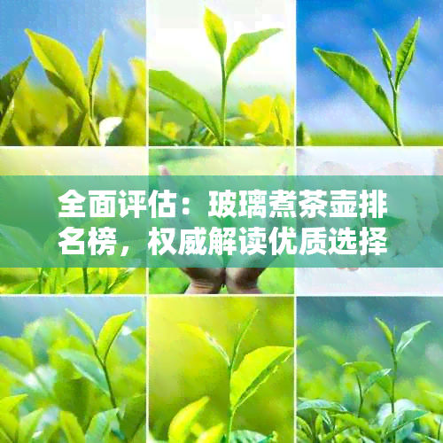 全面评估：玻璃煮茶壶排名榜，权威解读优质选择