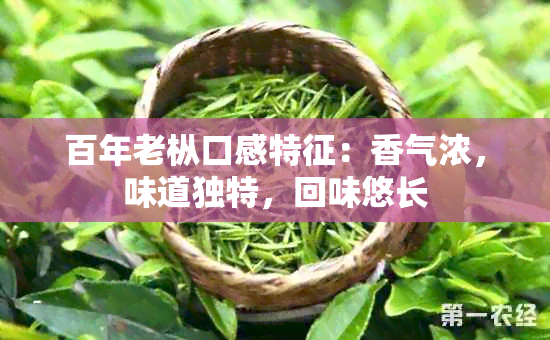 百年老枞口感特征：香气浓，味道独特，回味悠长