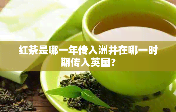 红茶是哪一年传入洲并在哪一时期传入英国？