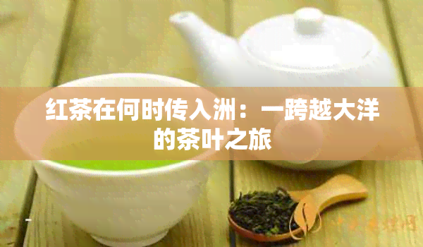 红茶在何时传入洲：一跨越大洋的茶叶之旅