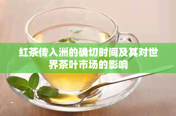 红茶传入洲的确切时间及其对世界茶叶市场的影响