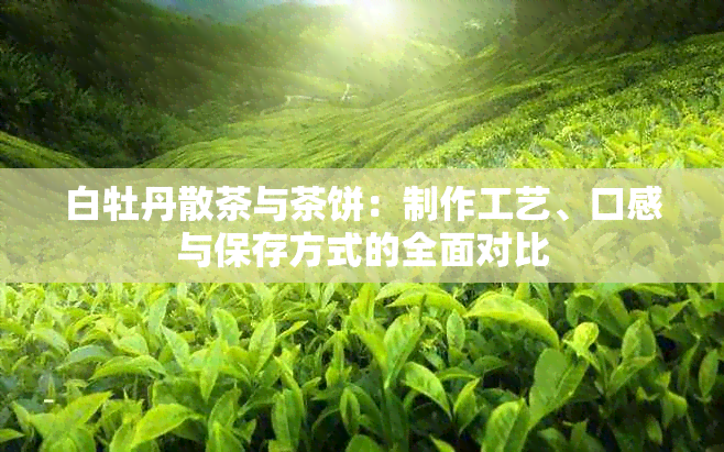 白牡丹散茶与茶饼：制作工艺、口感与保存方式的全面对比