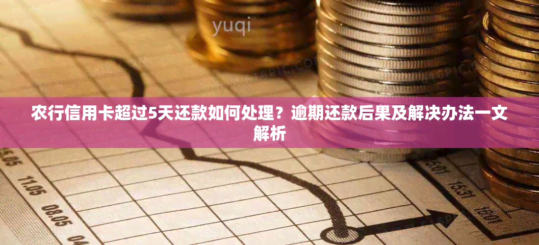 农行信用卡超过5天还款如何处理？逾期还款后果及解决办法一文解析