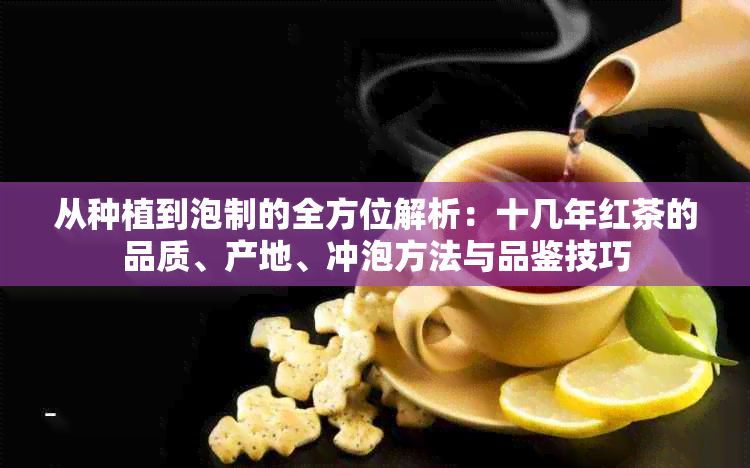 从种植到泡制的全方位解析：十几年红茶的品质、产地、冲泡方法与品鉴技巧