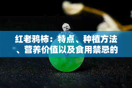 红老鸦柿：特点、种植方法、营养价值以及食用禁忌的全面解析