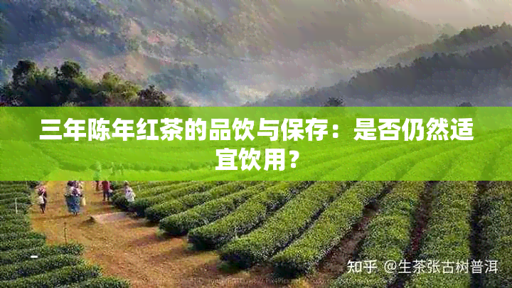 三年陈年红茶的品饮与保存：是否仍然适宜饮用？