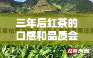 三年后红茶的口感和品质会发生变化吗？探究存放时间对红茶的影响