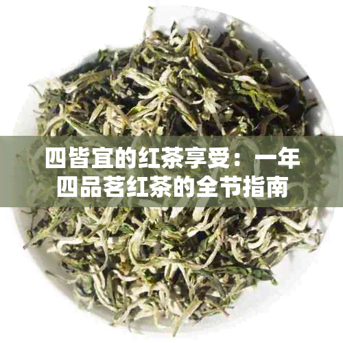 四皆宜的红茶享受：一年四品茗红茶的全节指南