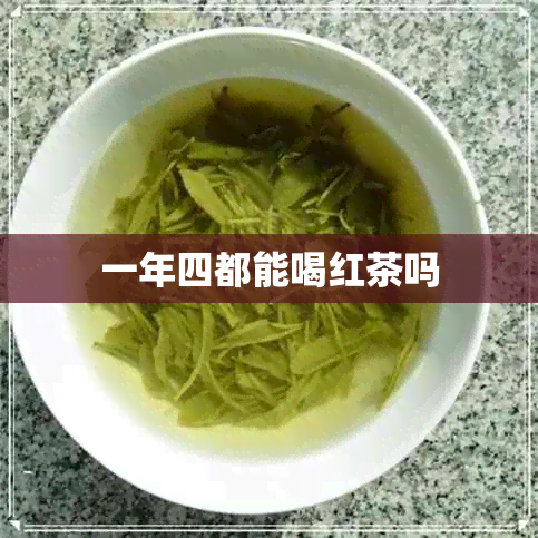 一年四都能喝红茶吗