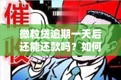 微粒贷逾期一天后还能还款吗？如何处理？