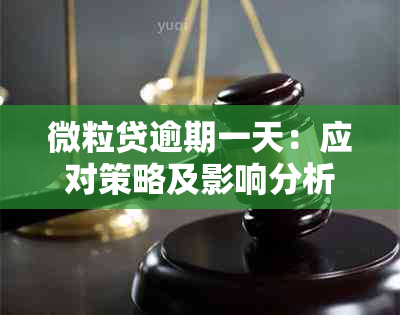 微粒贷逾期一天：应对策略及影响分析