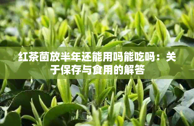 红茶菌放半年还能用吗能吃吗：关于保存与食用的解答