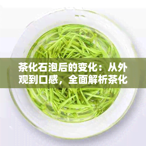 茶化石泡后的变化：从外观到口感，全面解析茶化石泡完后的神奇状态！