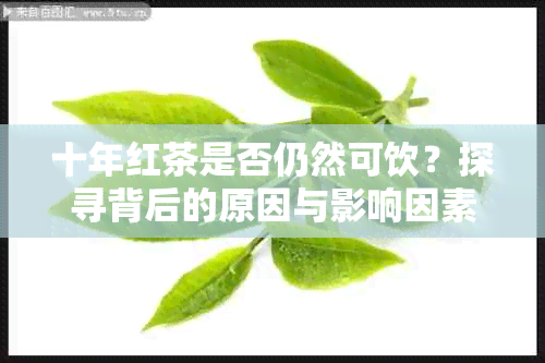 十年红茶是否仍然可饮？探寻背后的原因与影响因素