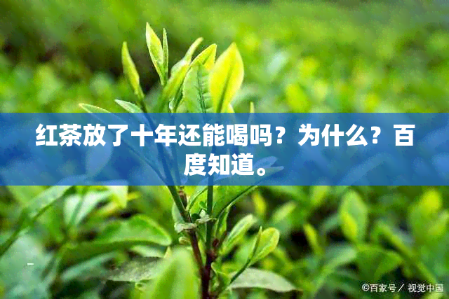 红茶放了十年还能喝吗？为什么？百度知道。