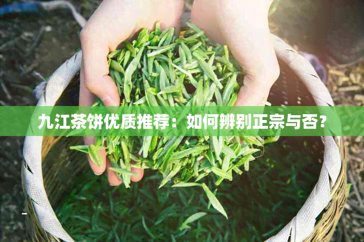 九江茶饼优质推荐：如何辨别正宗与否？