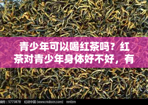 青少年可以喝红茶吗？红茶对青少年身体好不好，有什么好处？