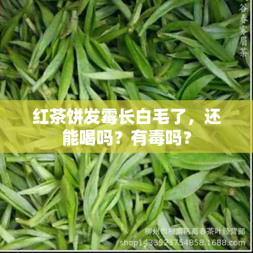 红茶饼发霉长白毛了，还能喝吗？有吗？