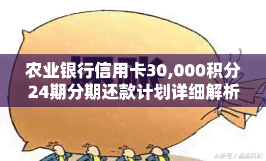 农业银行信用卡30,000积分24期分期还款计划详细解析及每月还款金额计算