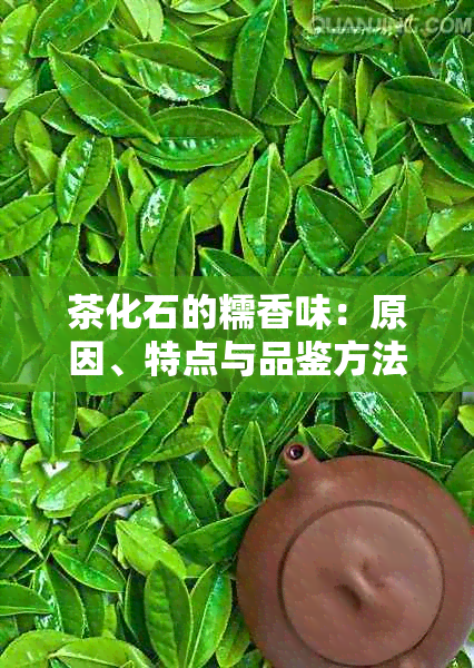 茶化石的糯香味：原因、特点与品鉴方法解析，让你全面了解茶化石的魅力