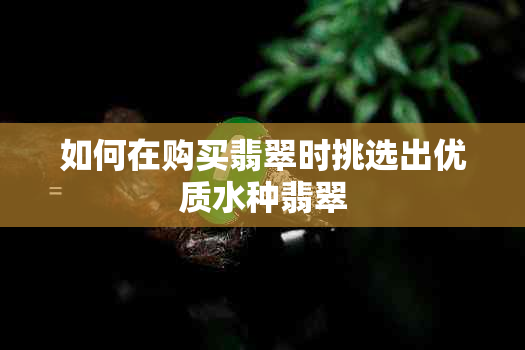 如何在购买翡翠时挑选出优质水种翡翠