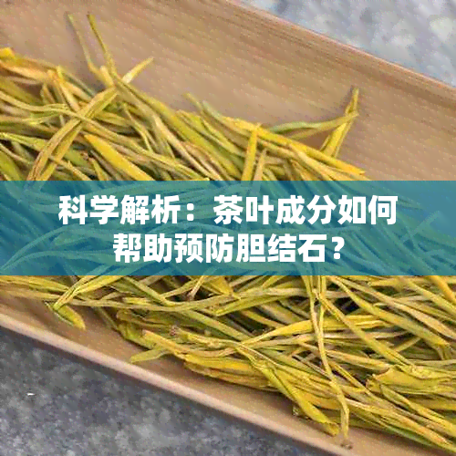 科学解析：茶叶成分如何帮助预防胆结石？