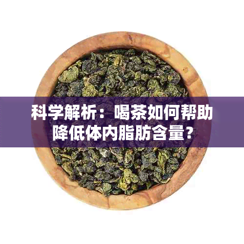 科学解析：喝茶如何帮助降低体内脂肪含量？