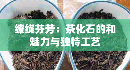 缭绕芬芳：茶化石的和魅力与独特工艺