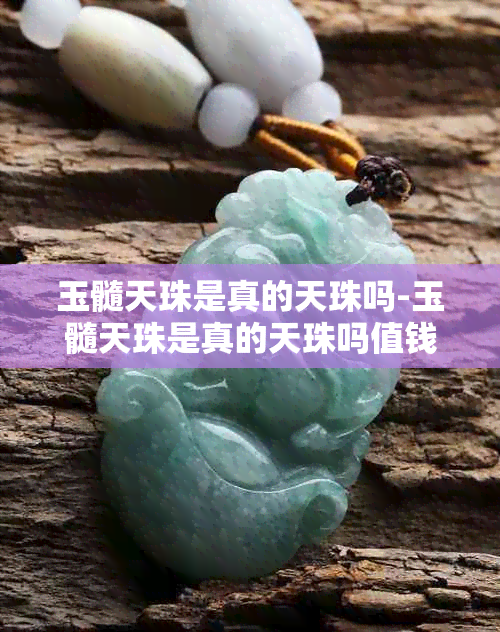 玉髓天珠是真的天珠吗-玉髓天珠是真的天珠吗值钱吗