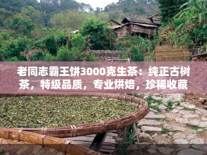 老同志霸王饼3000克生茶：纯正古树茶，特级品质，专业烘焙，珍稀收藏投资