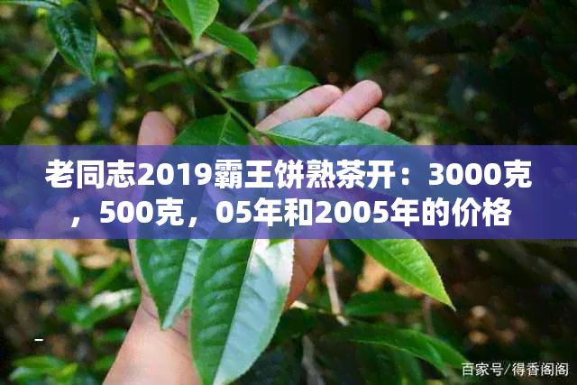 老同志2019霸王饼熟茶开：3000克，500克，05年和2005年的价格