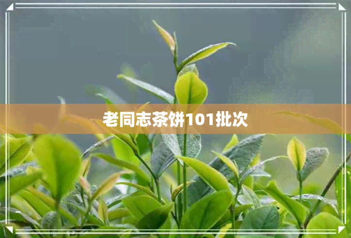 老同志茶饼101批次