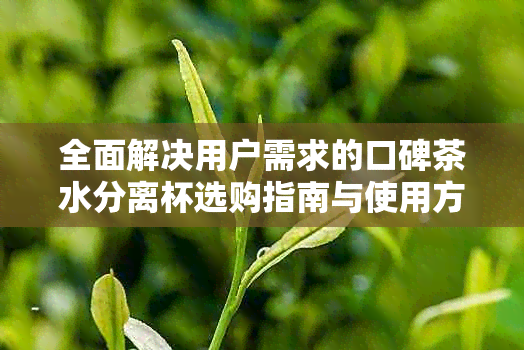 全面解决用户需求的口碑茶水分离杯选购指南与使用方法解析